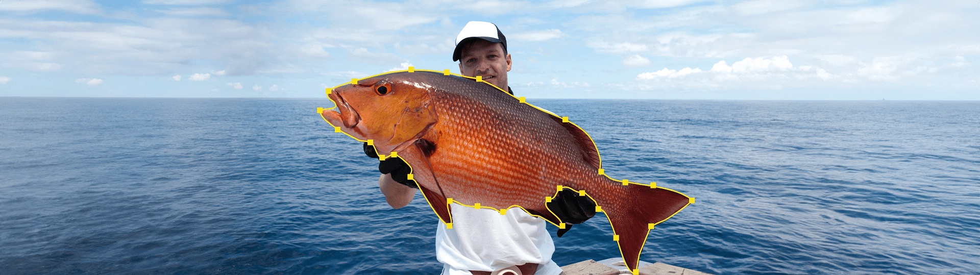 AdobeStock_41293070@2x-min