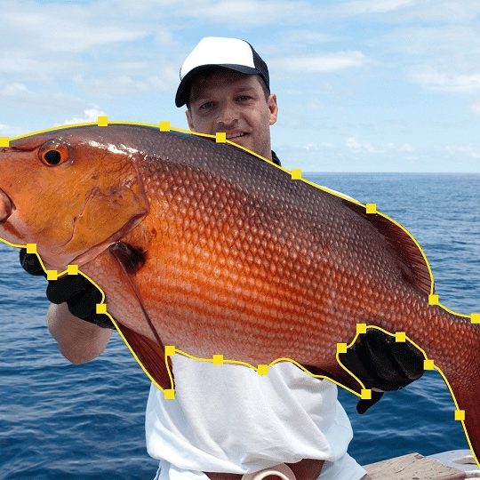 AdobeStock_41293070@2x-min